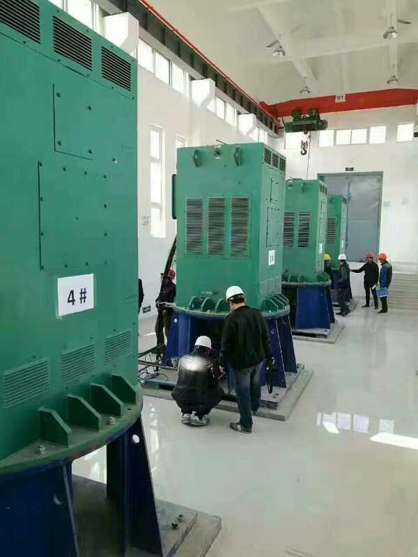 香洲某污水处理厂使用我厂的立式高压电机安装现场